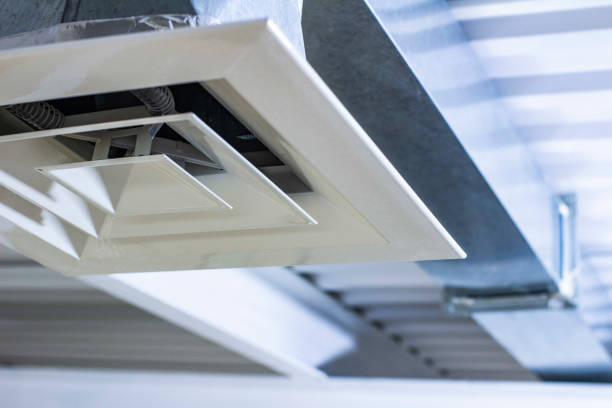 Air Duct Mold Removal in Woodlawn, VA